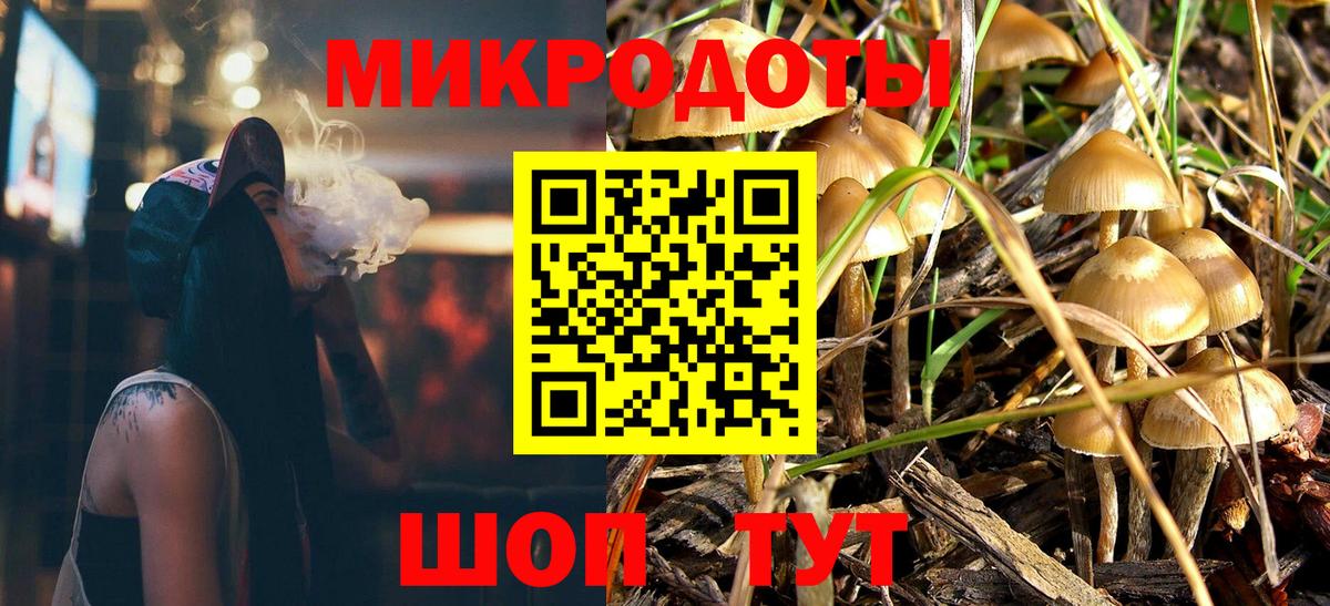 Галлюциногенные грибы Cubensis Дербент