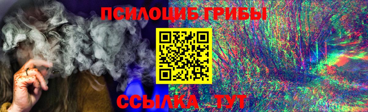 Дербент  Псилоцибиновые грибы GOLDEN TEACHER  Вход с VPN  Галлюциногенные грибы GOLDEN TEACHER 