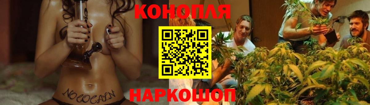 Бошки Шишки THC 21% Дербент